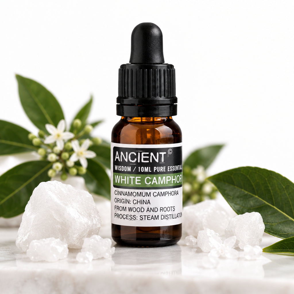Aceite Esencial Alcanfor blanco