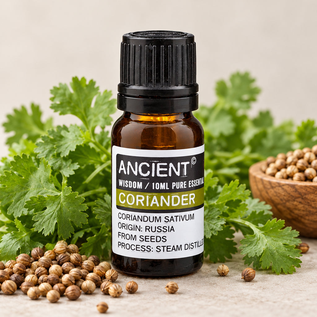 Aceite esencial de cilantro 10 ml