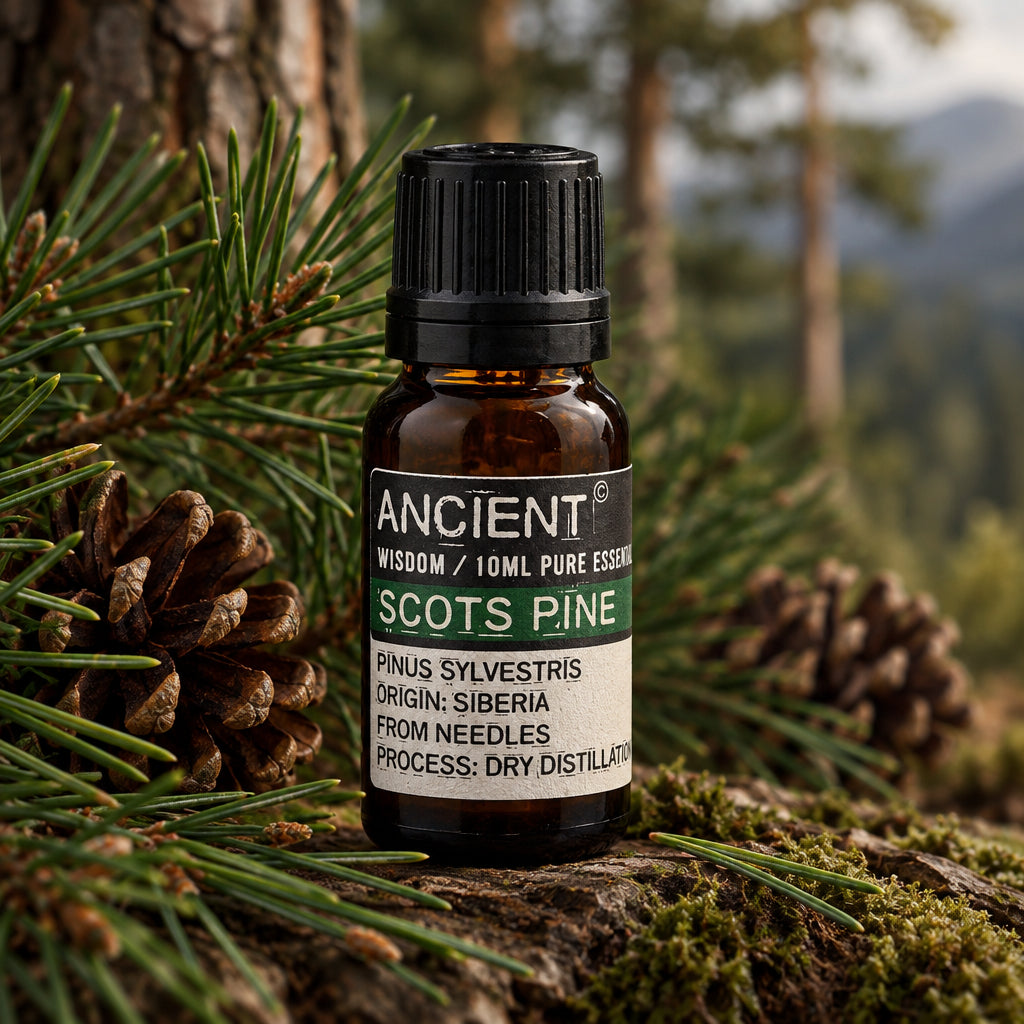 Aceite esencial de pino silvestre 10 ml