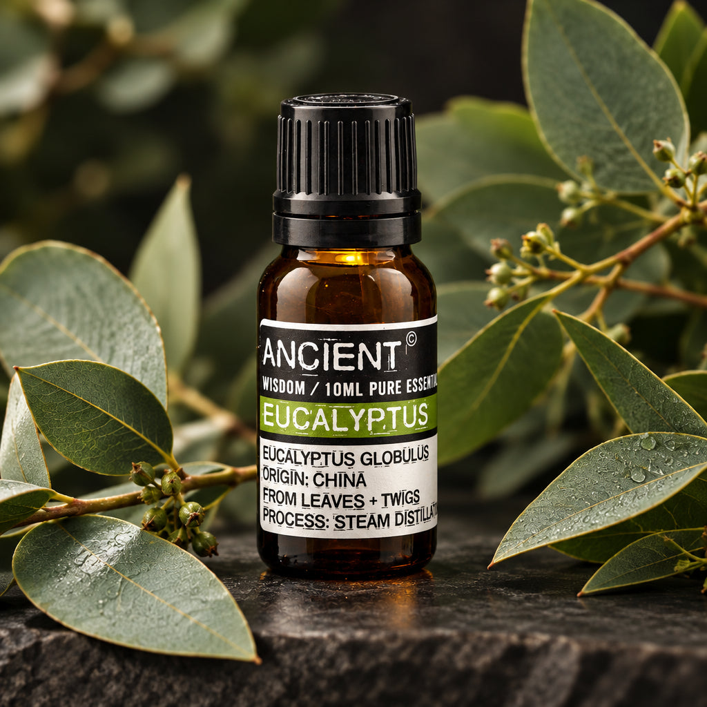 Aceite esencial de eucalipto 10 ml