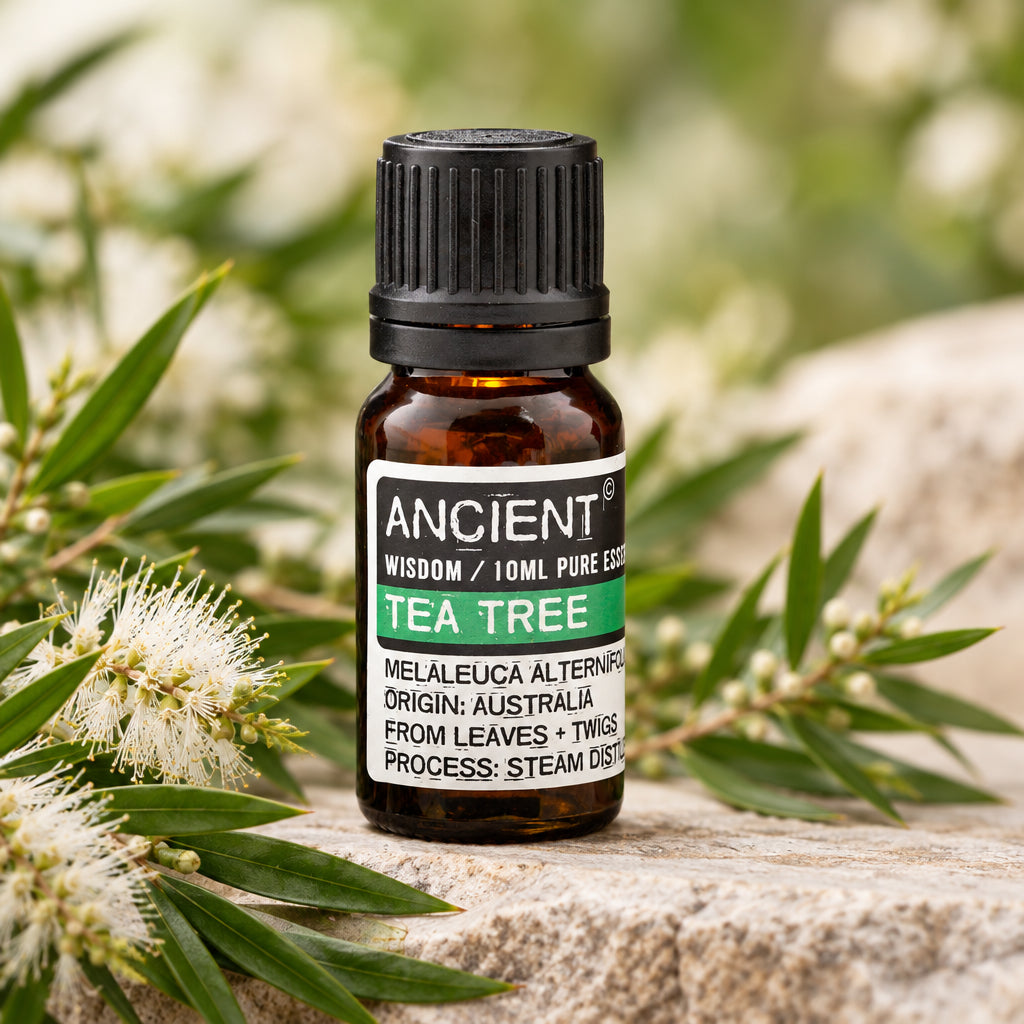 Aceite Esencial Árbol de té