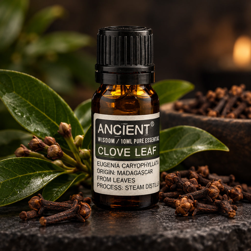 Aceite esencial de hoja de clavo 10 ml