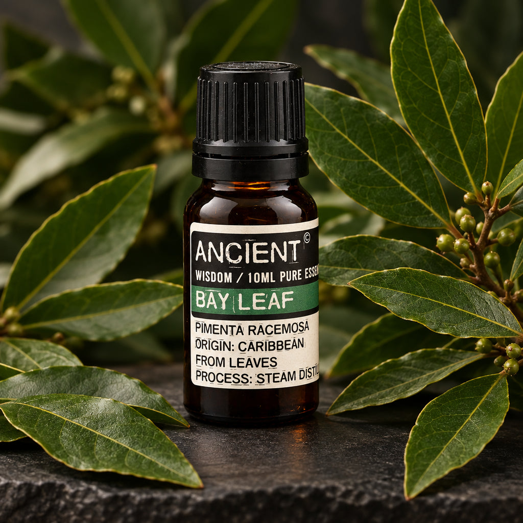 Aceite esencial de laurel 10 ml